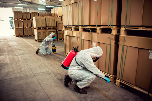 Best Cockroach Control Services  in Clayton, AL