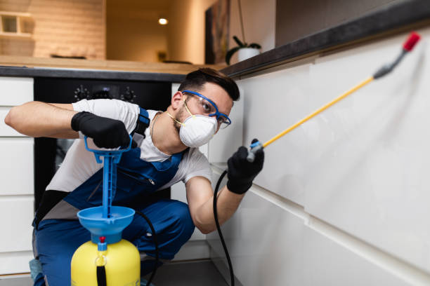 Best Flea Control Services  in Clayton, AL