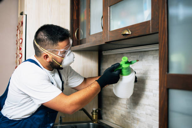 Best Pest Prevention Services  in Clayton, AL