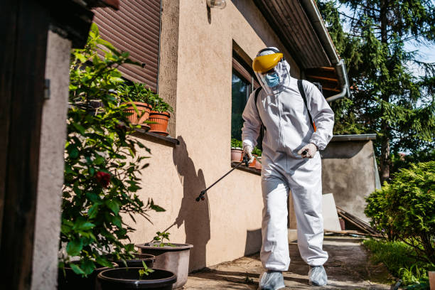 Best Best Pest Control Companies  in Clayton, AL