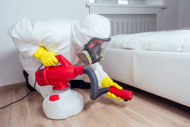 Trusted Clayton, AL Pest Control Experts