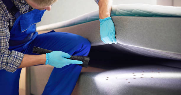 Best Residential Pest Control  in Clayton, AL
