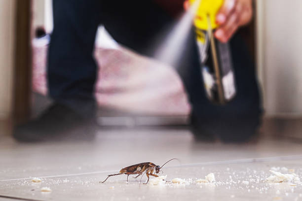 Best Mosquito Control Services  in Clayton, AL