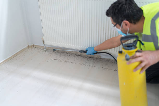 Best Pest Control for Restaurants  in Clayton, AL